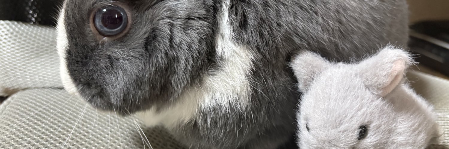 全🐰ときめぐり展's banner