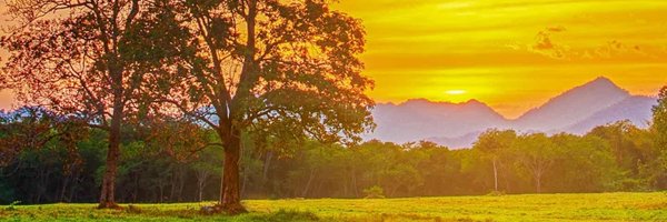 partha_ghosh0 Profile Banner