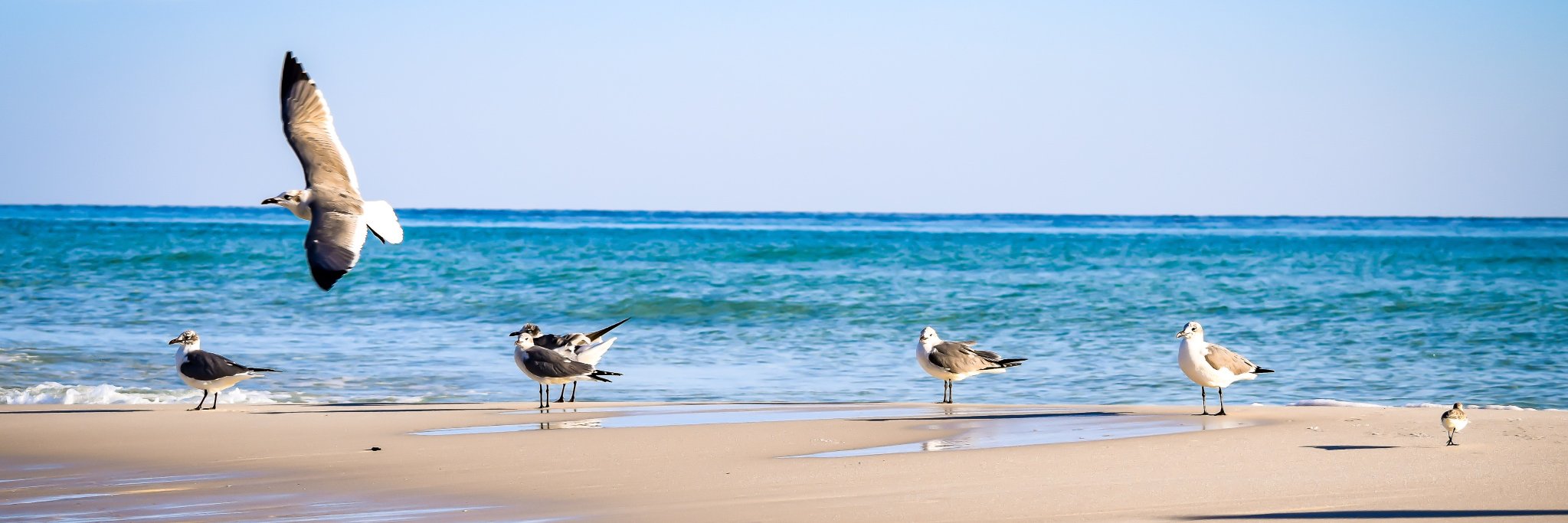 BoardwalkDestin's profile banner image