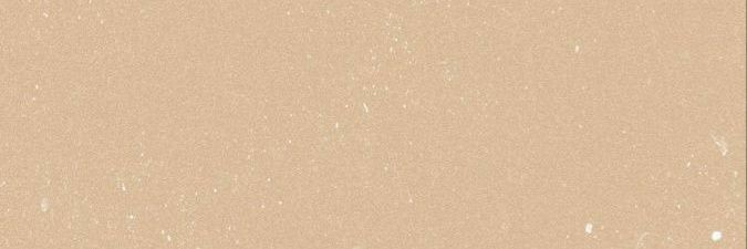 🌻 banner