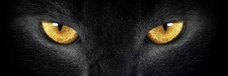 ozlemiya's profile banner image