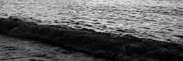 monraweea Profile Banner