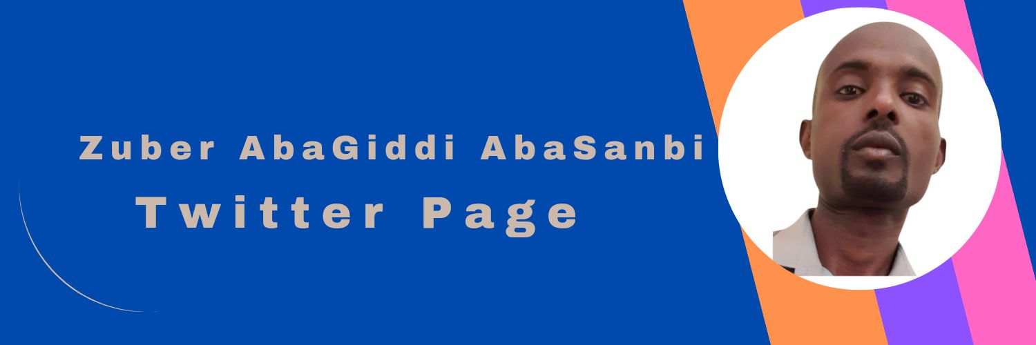 ZuberAbagiddi's profile banner image