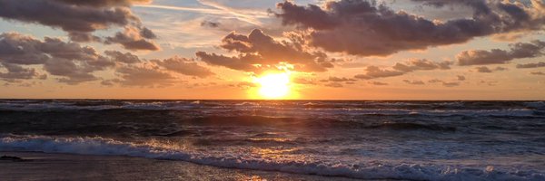 nplhse Profile Banner