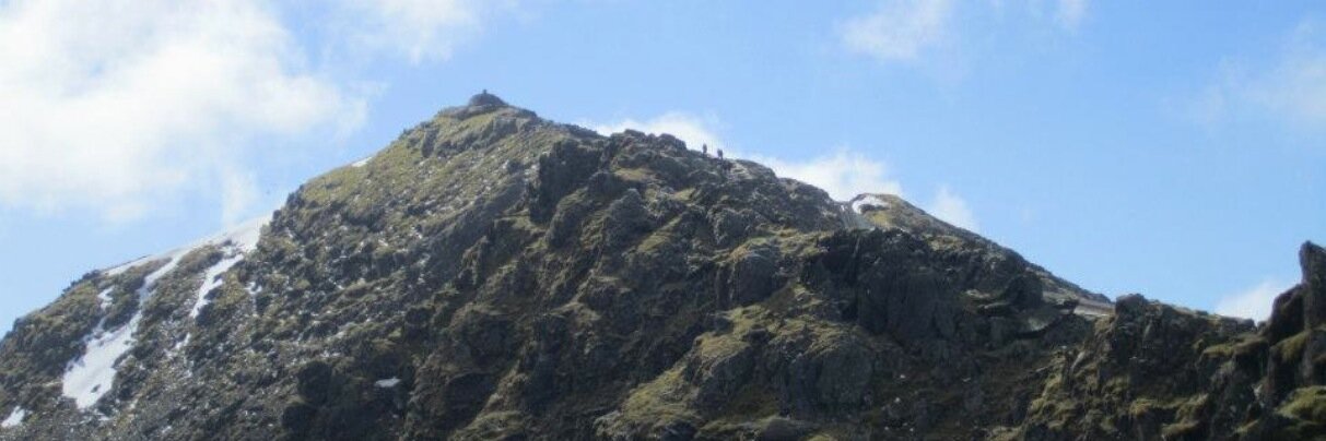 Elizabeth Thorne banner