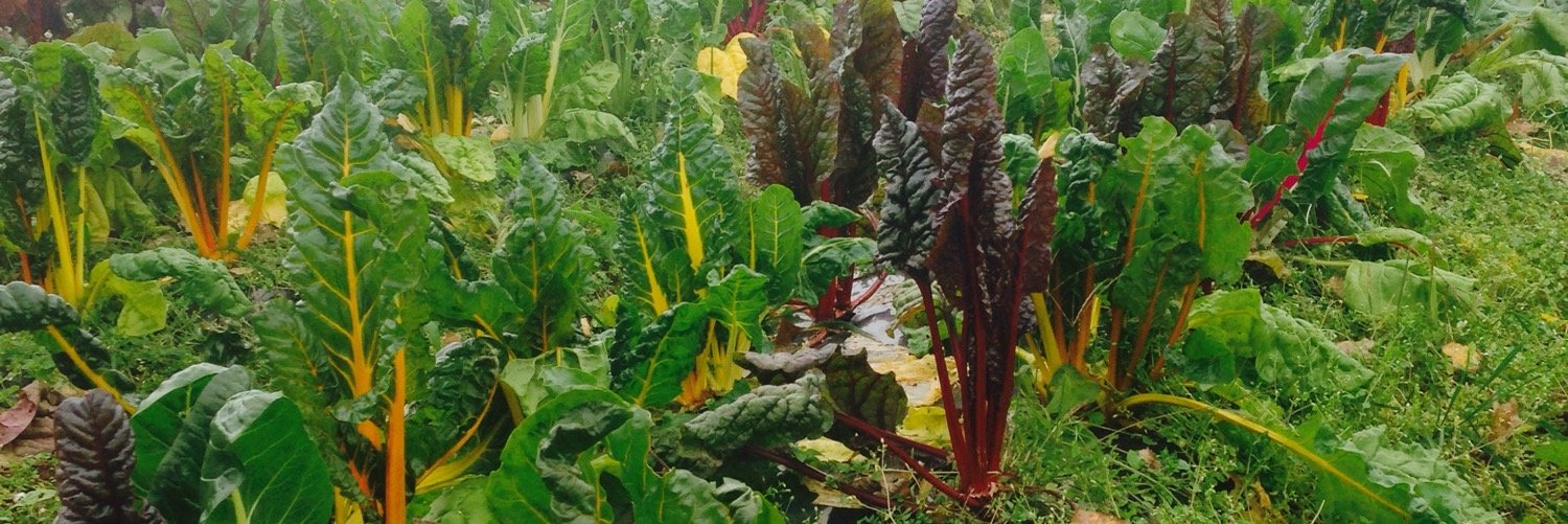 TapRoot Farms banner