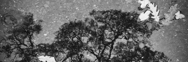 jadjosey Profile Banner