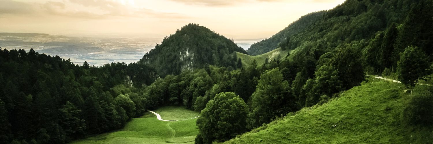 Fabian Schneider banner