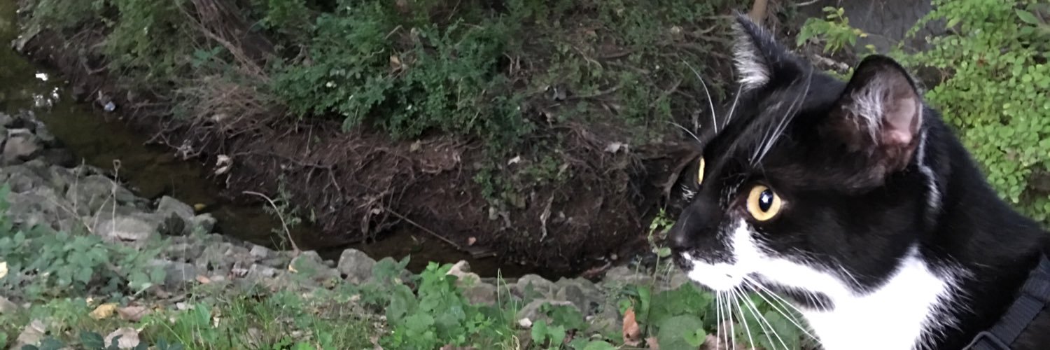 Ginger Christ banner