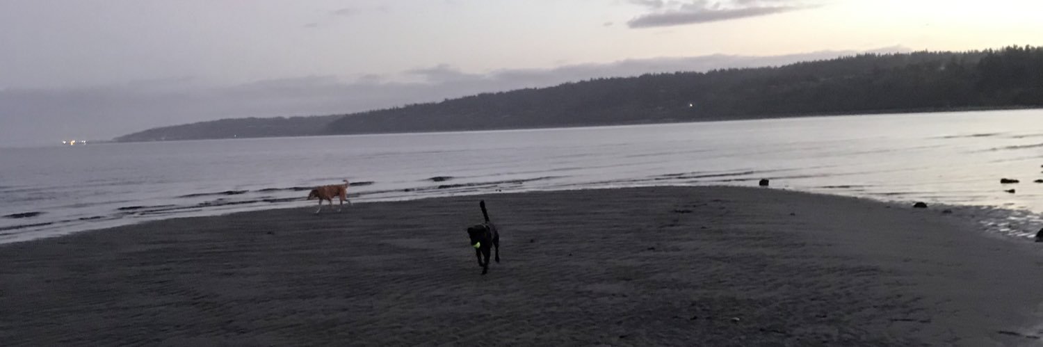 Rebecca Sheppard banner