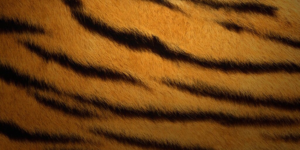 Sarah_Olga_'s profile banner image