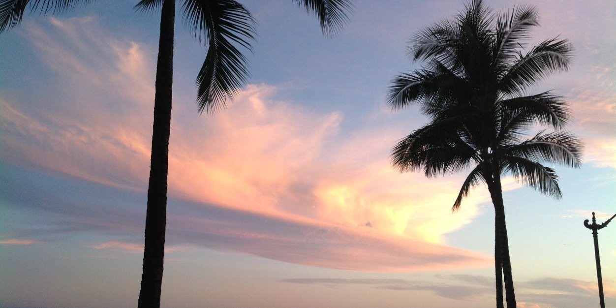 Marina Orsini-Jones banner