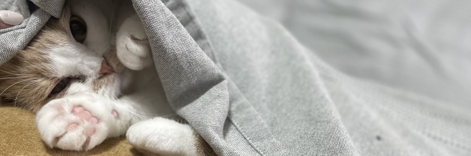 満月 banner