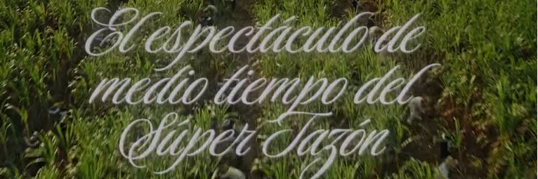 Nancy Victoria banner