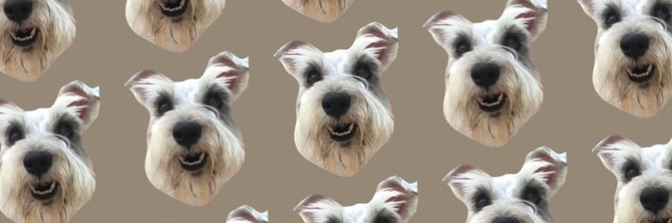 MarielaUD's profile banner image