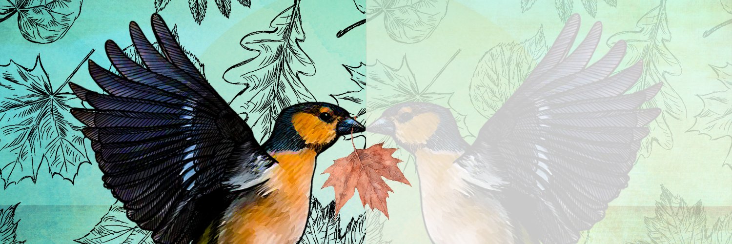 Helen Temperley banner