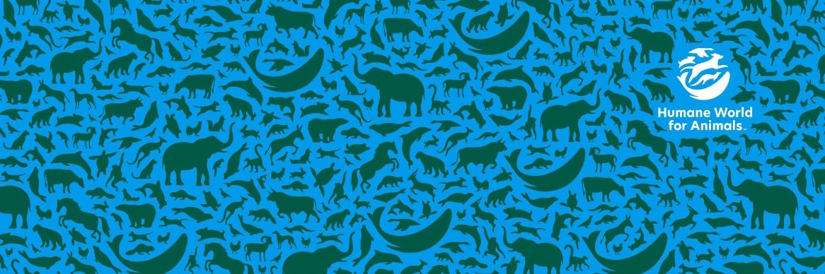 Miss Anty Mobarak banner