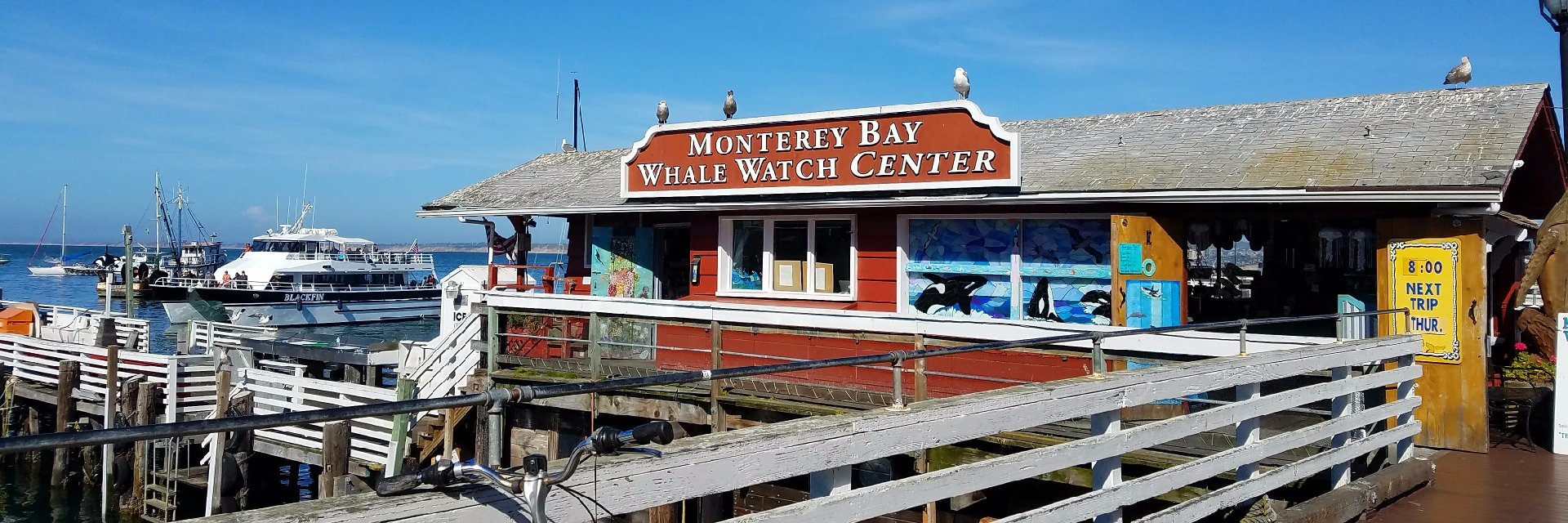 MBayWhaleWatch's profile banner image