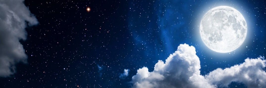 greslyas's profile banner image