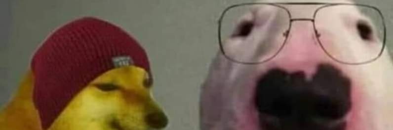 leniand's profile banner image