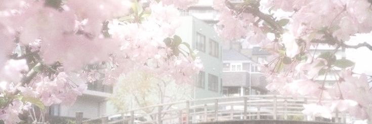 kittaewon's profile banner image