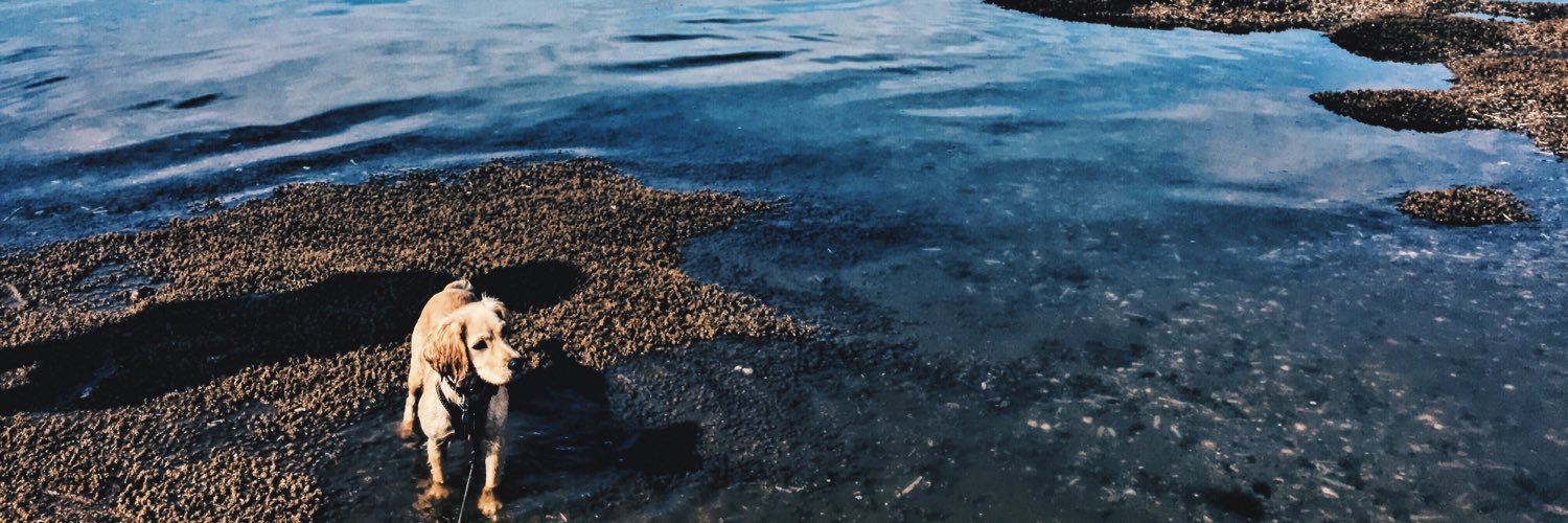 aaronvvright's profile banner image