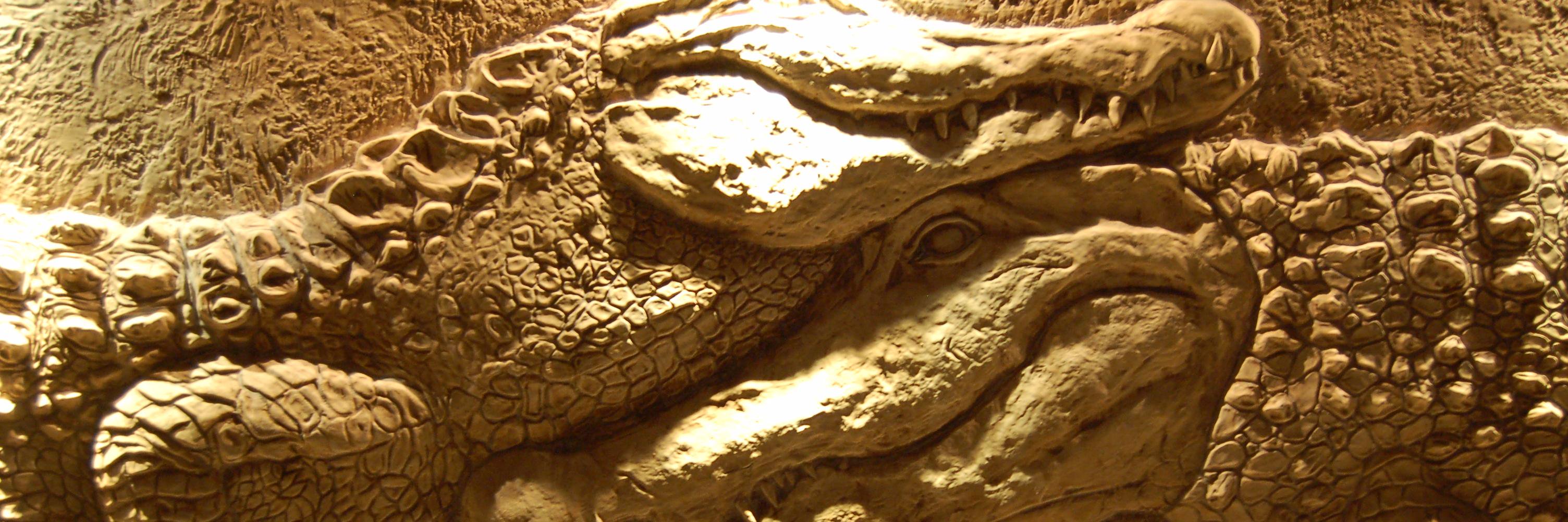 Gallery banner
