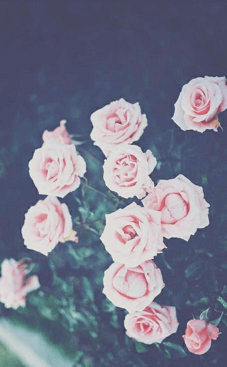 Secret_izzi's profile banner image