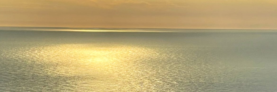 ssedacan's profile banner image