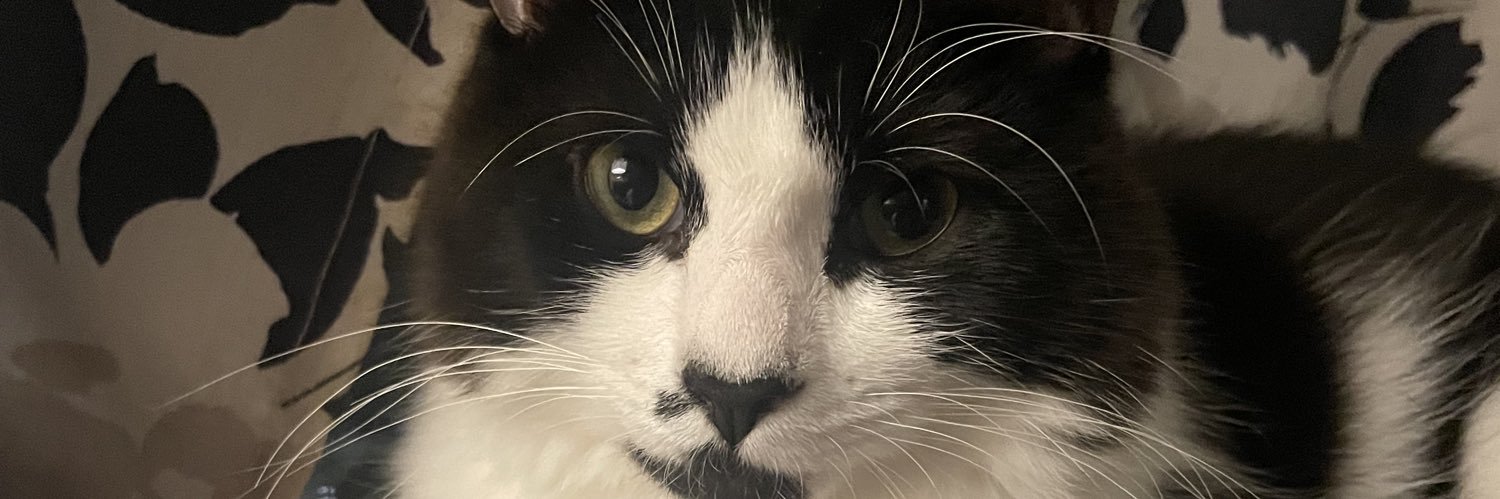 Anne T 🇺🇸❤️ banner