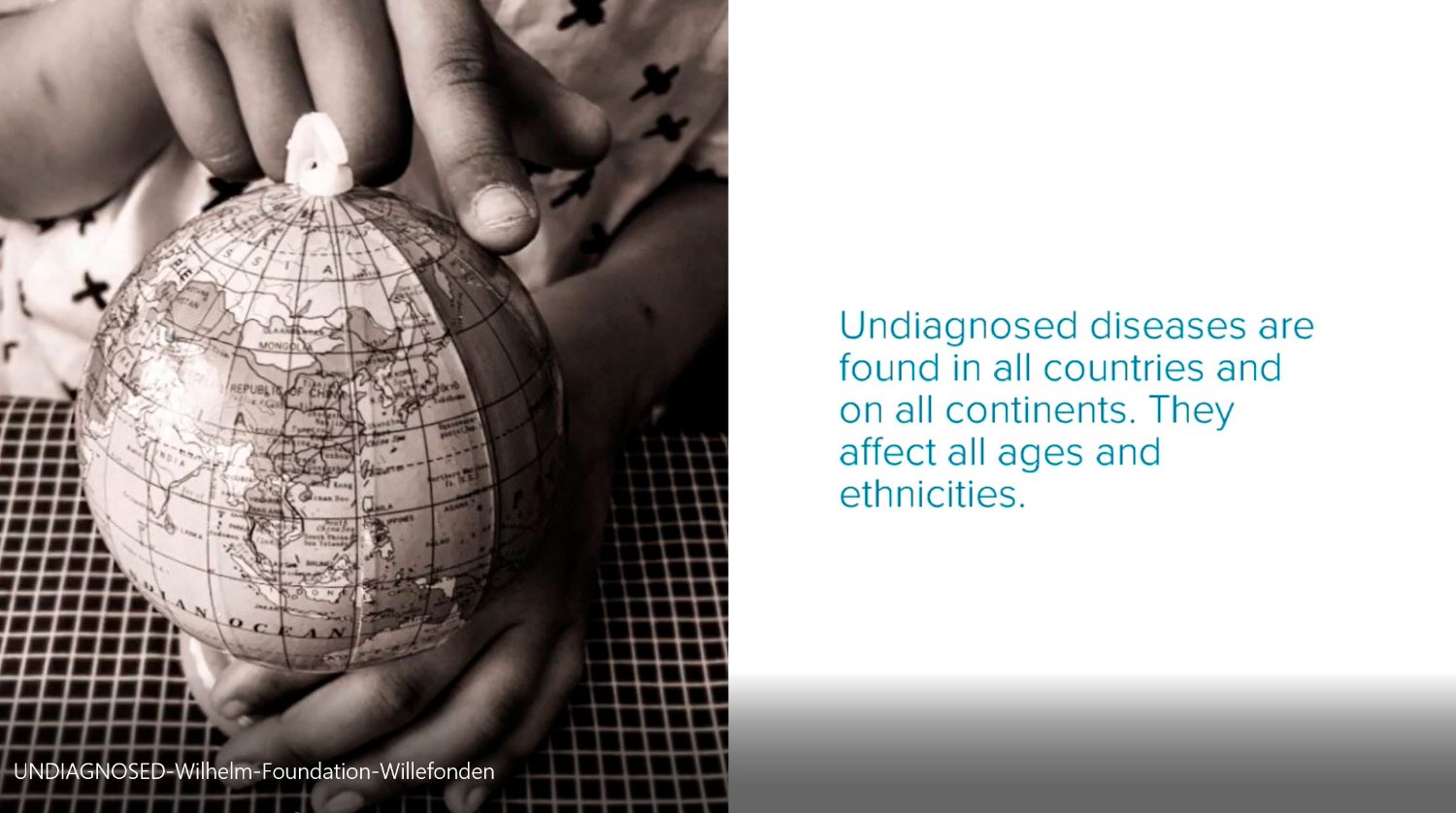 Wilhelm Foundation banner