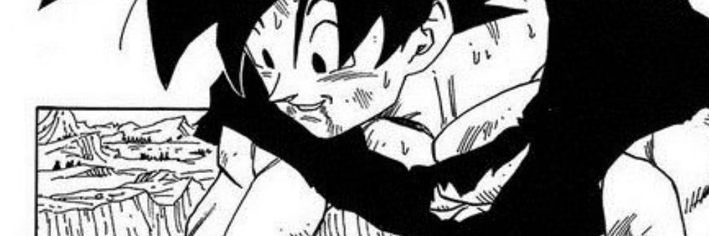D e n banner
