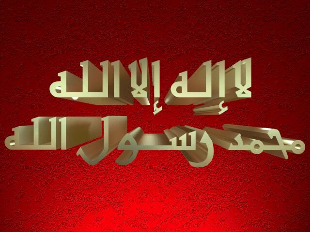 nabilayed84's profile banner image