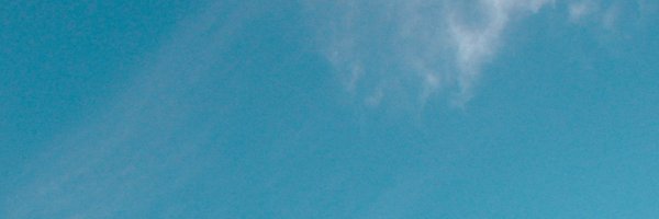 yintsdayo Profile Banner