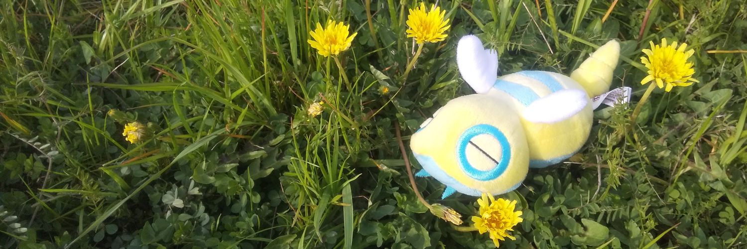 隠れみの's banner