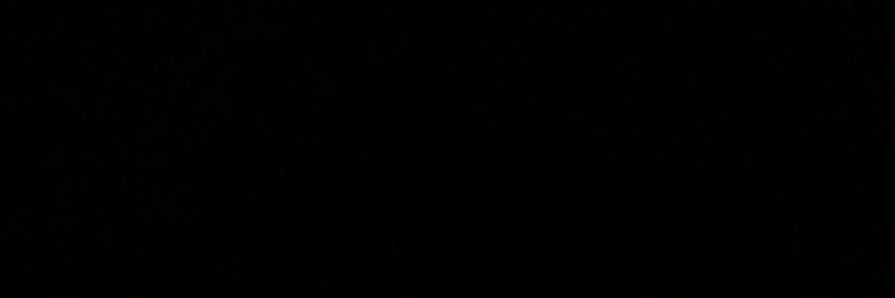 空林月照 banner