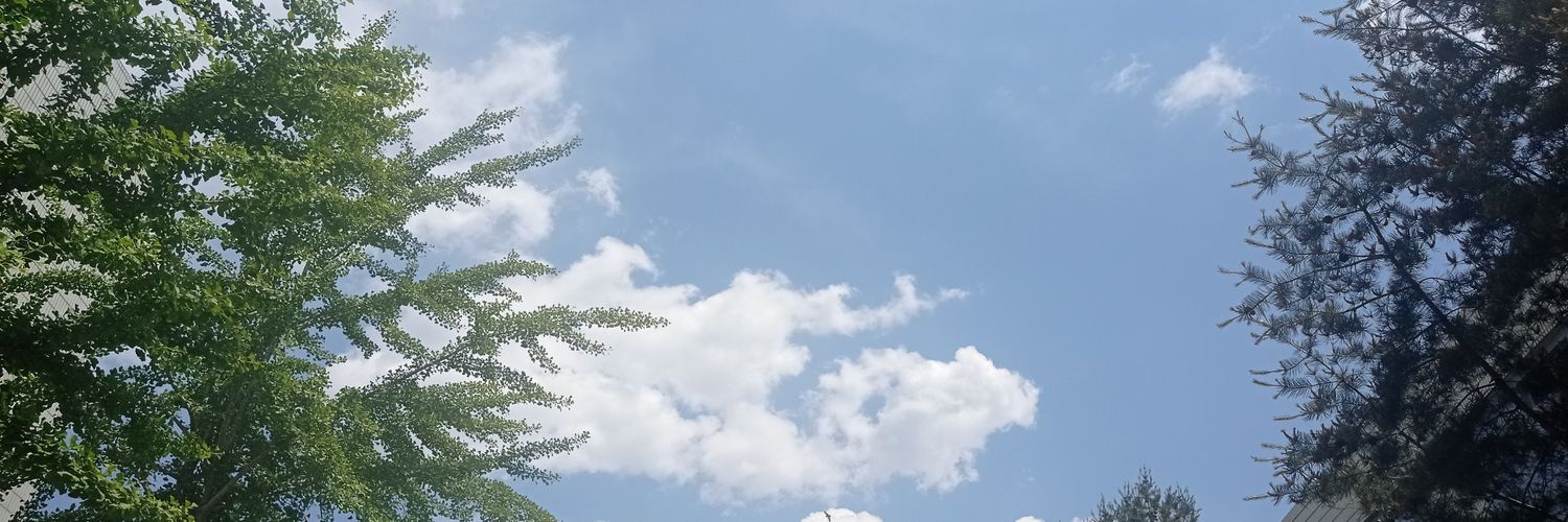 Rebecca banner