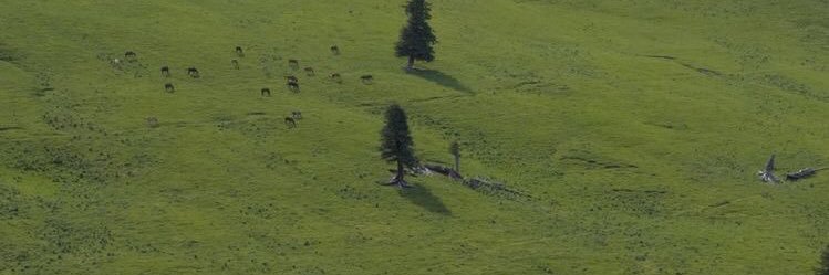 hourlybaiben's profile banner image