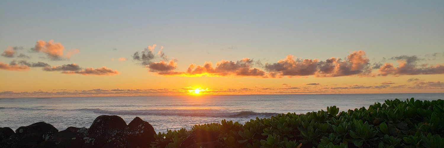 GinneyE's profile banner image
