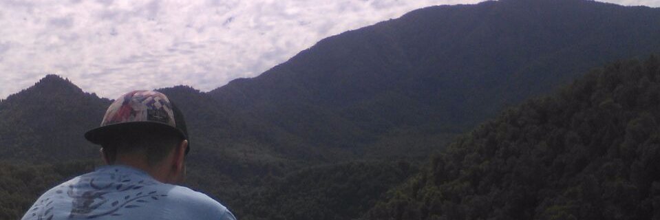 hpolz's profile banner image