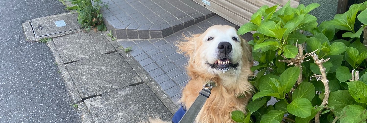 nuttiee_e's profile banner image