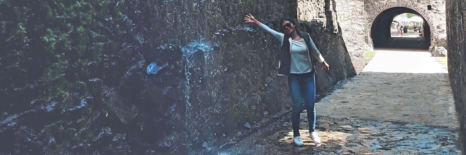 laupazz's profile banner image