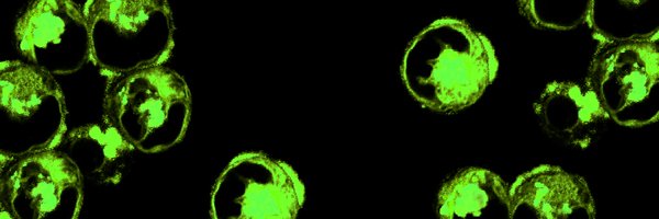 EnlivexT Profile Banner