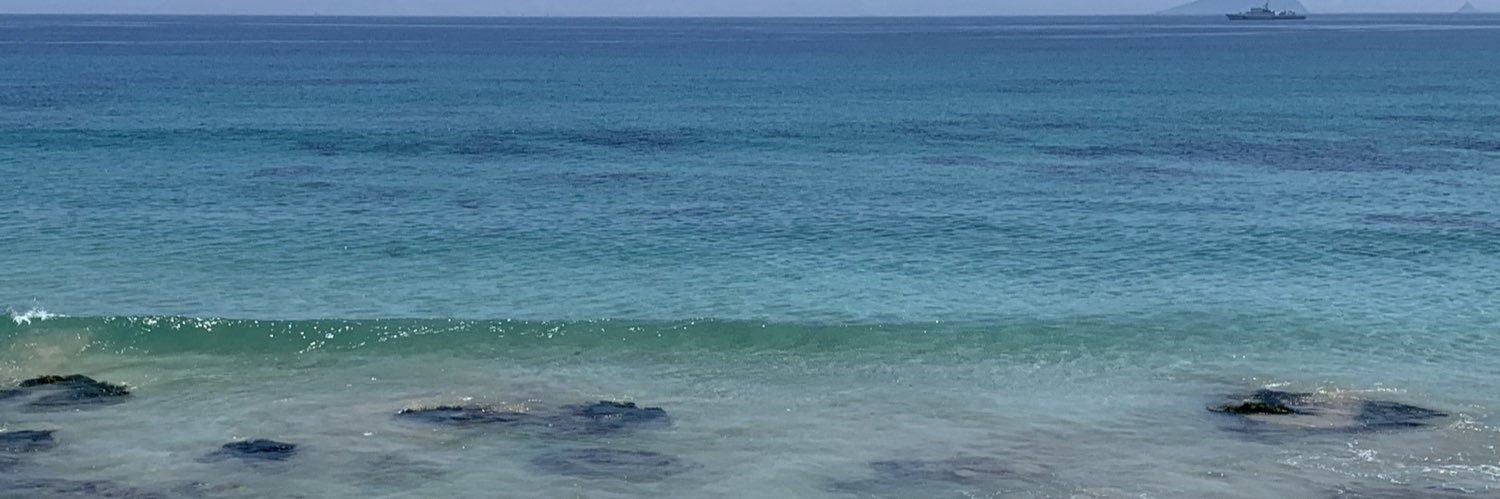 Lαvё banner
