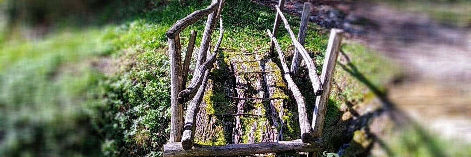 Latitudine45°16'D banner