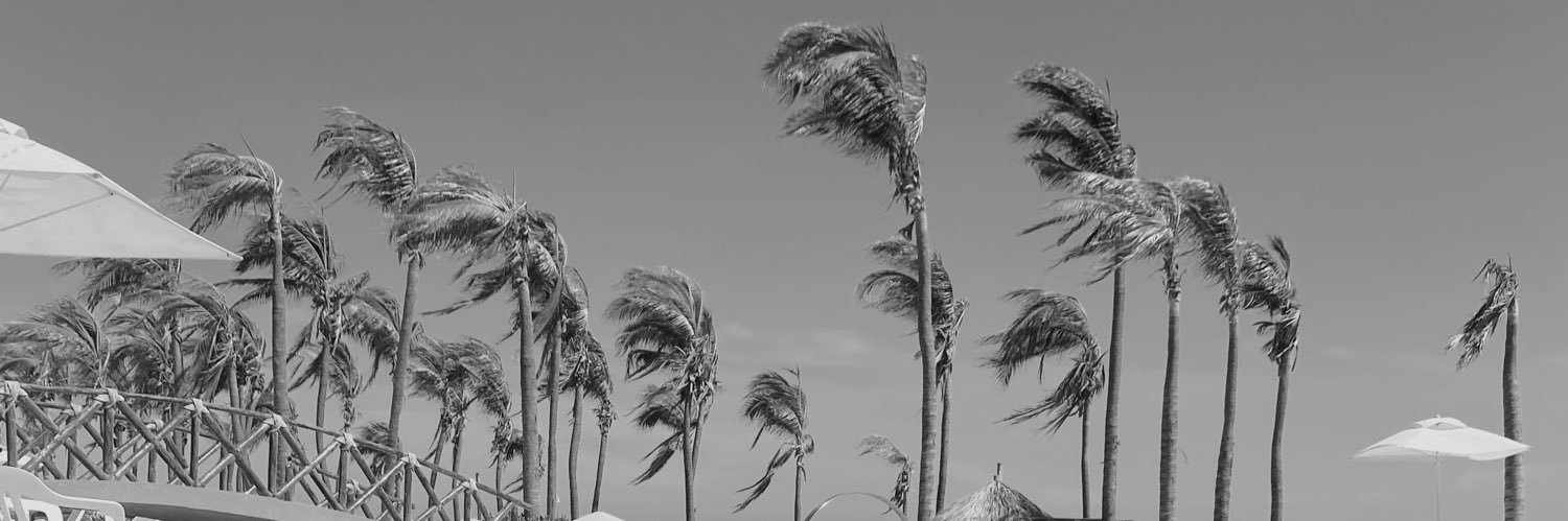 _xxfabe's profile banner image