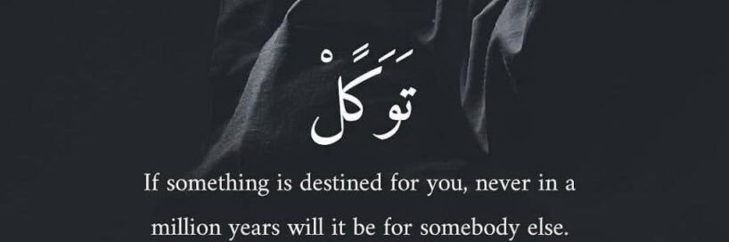 SabihMaqbool's profile banner image