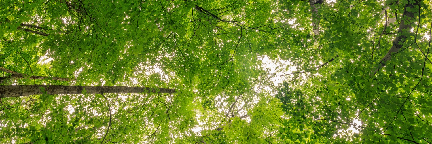 The Nature Conservancy in Massachusetts banner