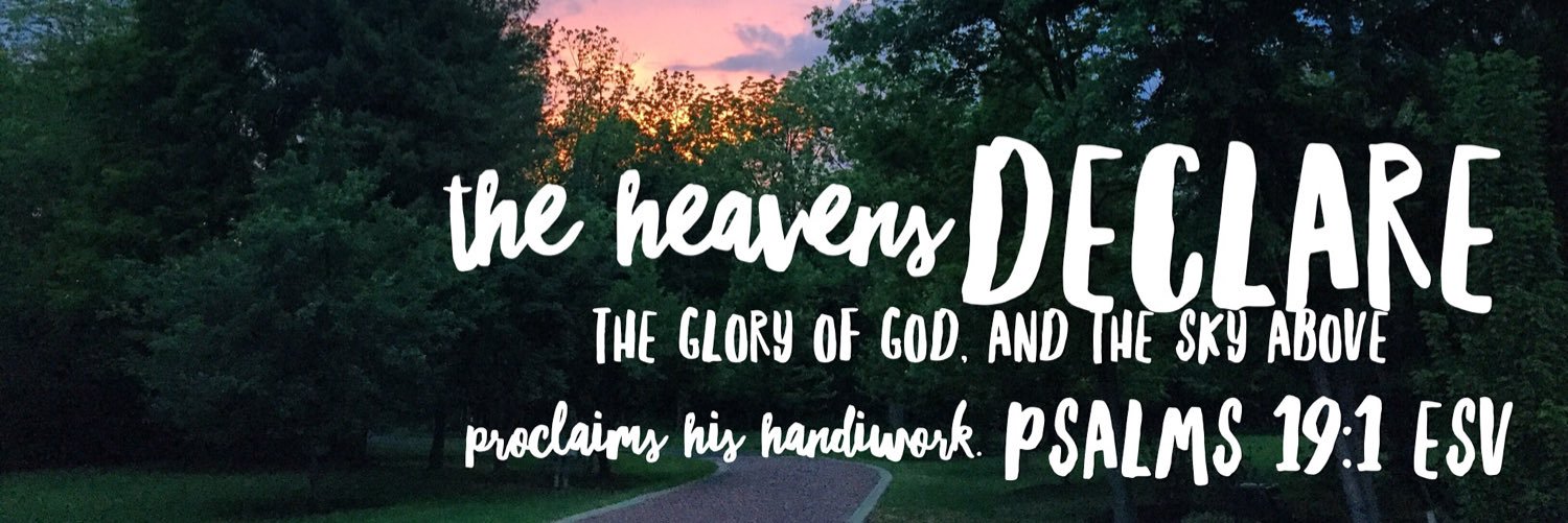 Ellie Day banner
