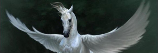 juniperfreebird's profile banner image